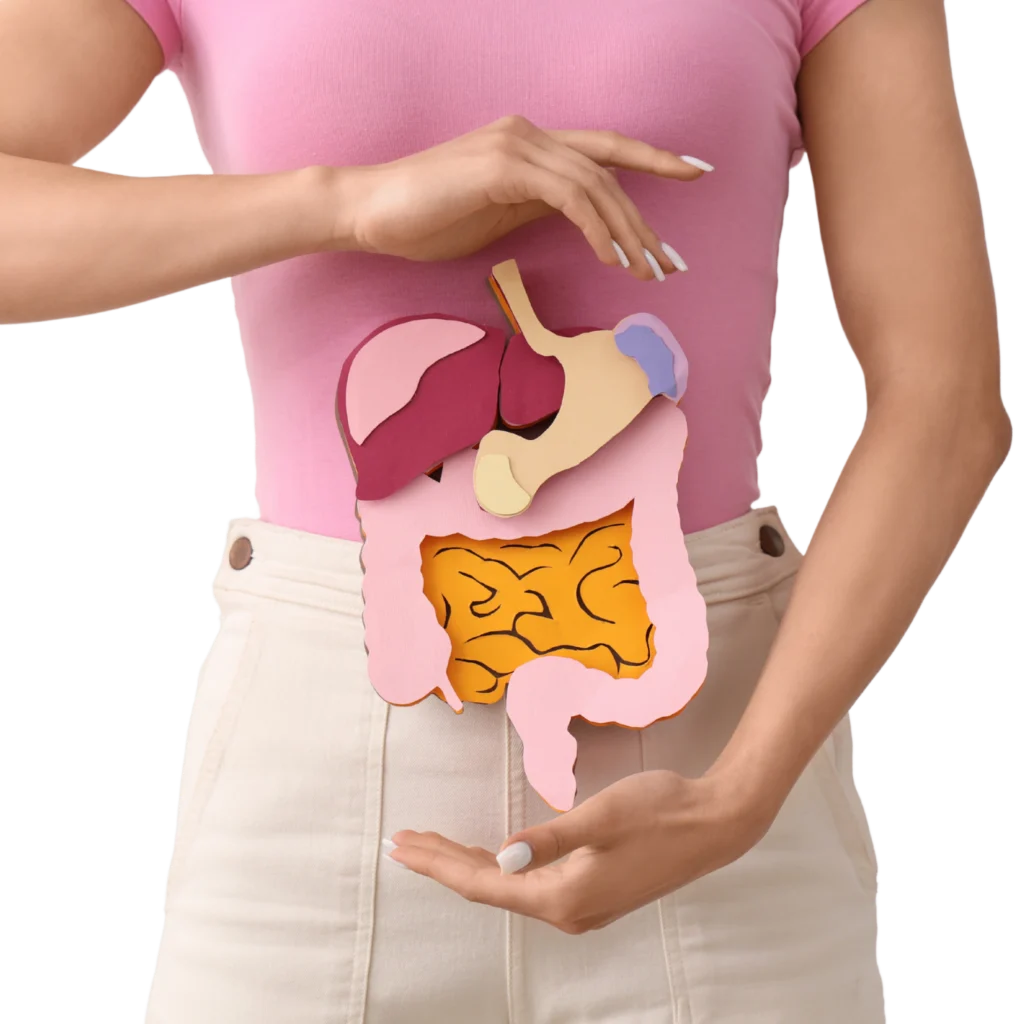 Una mujer con una camiseta rosa sostiene con las manos, en actitud protectora, una maqueta de papel del sistema digestivo humano frente a su vientre.