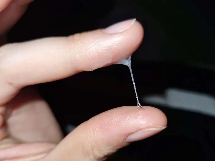 Mucosidad cervical S+ transparente y elástica, con vetas blanquecinas, a partir del día 10 del ciclo