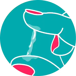 Una ilustración circular sobre un fondo turquesa. Muestra un moco cervical cristalino, salpicado de vetas blanquecinas y cuya consistencia recuerda a la clara de huevo cruda. Esta textura es un signo claro de los días fértiles de la fase 3.